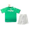 Conjunto (Camiseta+Pantalón Corto) Palmeiras Special Edition 2024 Verde - Niño